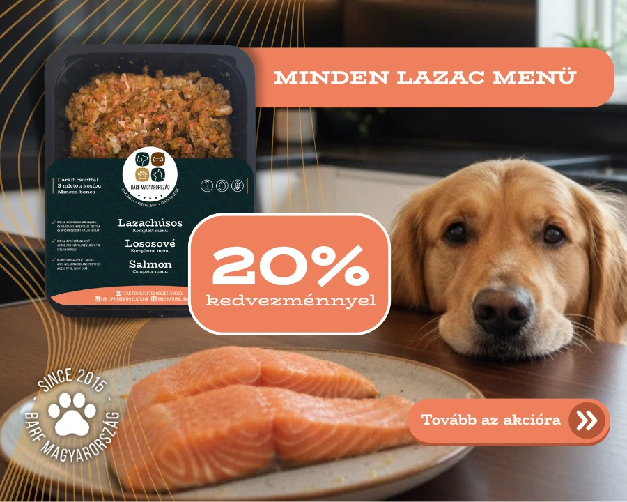 2511 – Lazac 20% promo