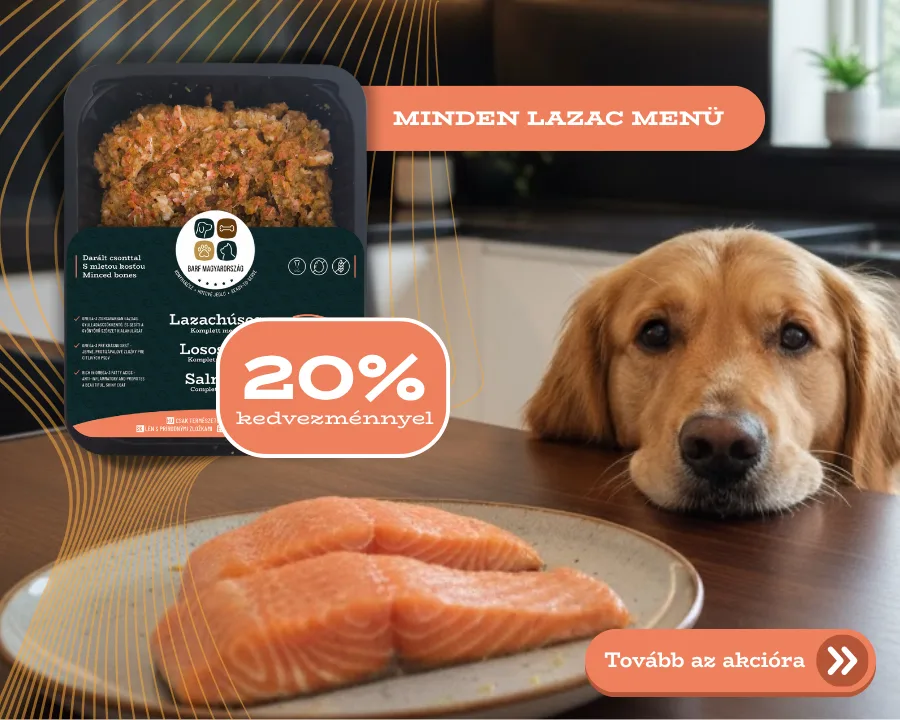 2511 – Lazac 20% promo